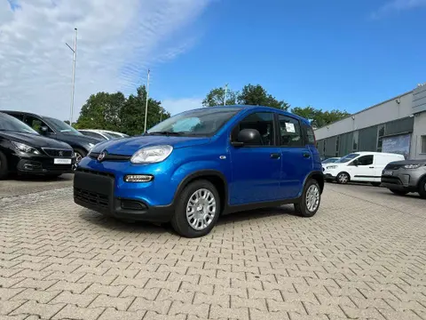 Used FIAT PANDA Petrol 2024 Ad 