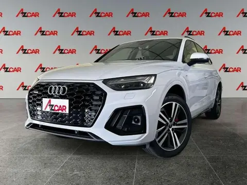 Used AUDI Q5 Hybrid 2024 Ad 