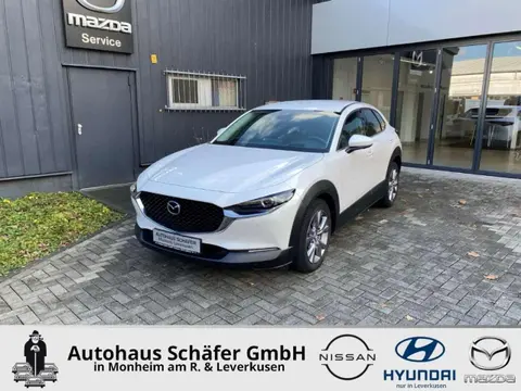 Annonce MAZDA CX-30 Essence 2021 d'occasion 