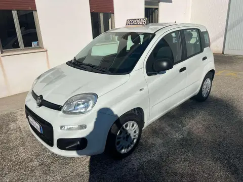 Annonce FIAT PANDA Essence 2019 d'occasion 