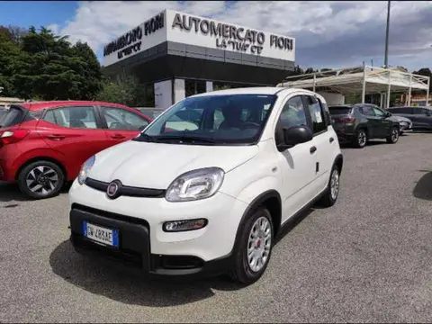 Annonce FIAT PANDA Hybride 2024 d'occasion 