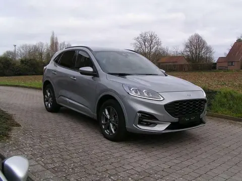 Annonce FORD KUGA Hybride 2023 d'occasion 