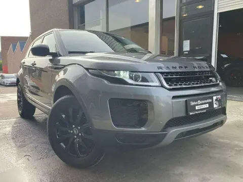 Used LAND ROVER RANGE ROVER EVOQUE Diesel 2019 Ad 