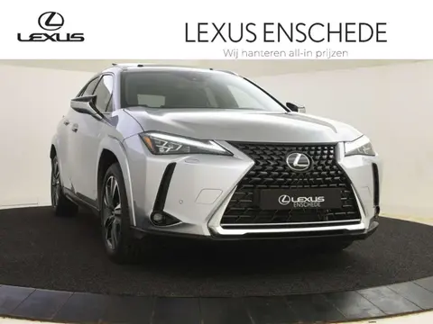 Used LEXUS UX Hybrid 2024 Ad 