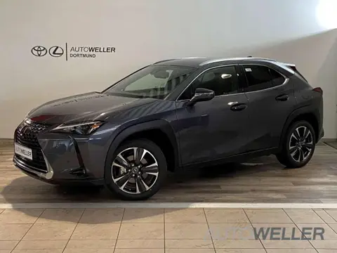 Used LEXUS UX Hybrid 2023 Ad 