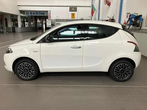 Used LANCIA YPSILON LPG 2024 Ad 