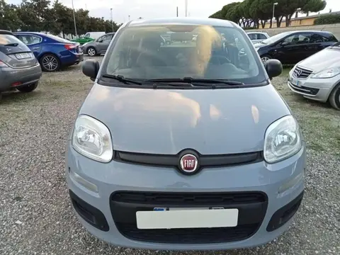 Used FIAT PANDA Hybrid 2020 Ad 