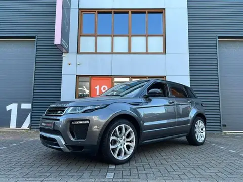 Annonce LAND ROVER RANGE ROVER EVOQUE Diesel 2017 d'occasion 