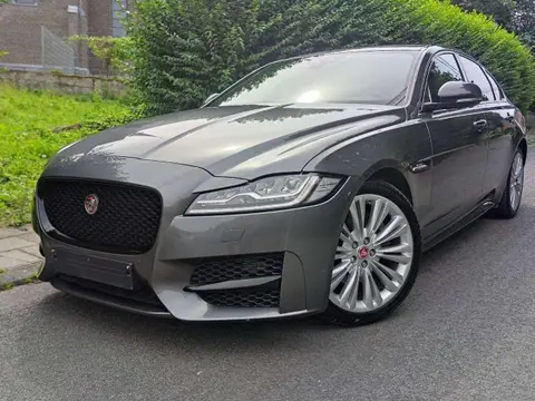 Used JAGUAR XF Diesel 2016 Ad 