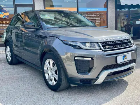 Annonce LAND ROVER RANGE ROVER EVOQUE Diesel 2017 d'occasion 