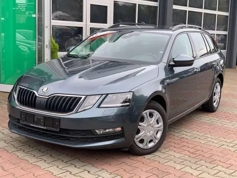 Annonce SKODA OCTAVIA Diesel 2019 d'occasion 