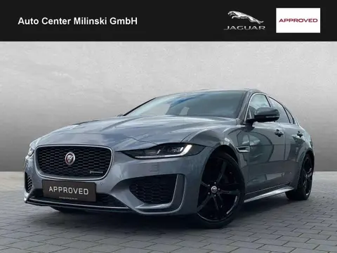 Used JAGUAR XE Diesel 2019 Ad 