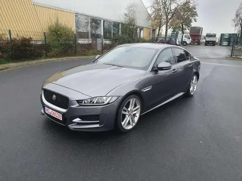 Annonce JAGUAR XE Diesel 2015 d'occasion 