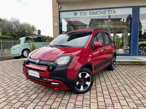 Annonce FIAT PANDA Hybride 2024 d'occasion 