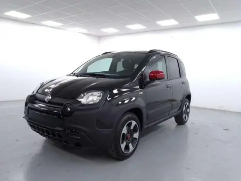 Annonce FIAT PANDA Hybride 2023 d'occasion 