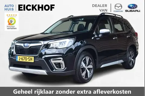 Used SUBARU FORESTER Hybrid 2019 Ad 