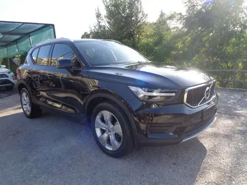 Used VOLVO XC40 Diesel 2019 Ad 