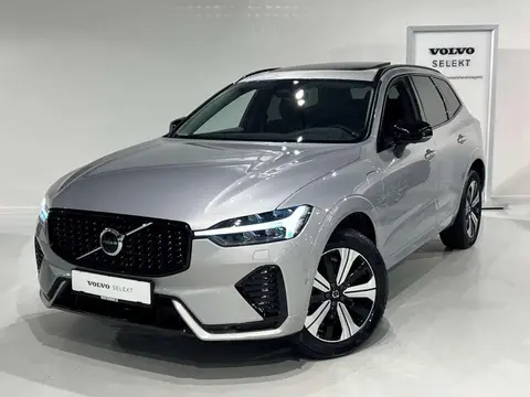 Annonce VOLVO XC60 Hybride 2024 d'occasion 