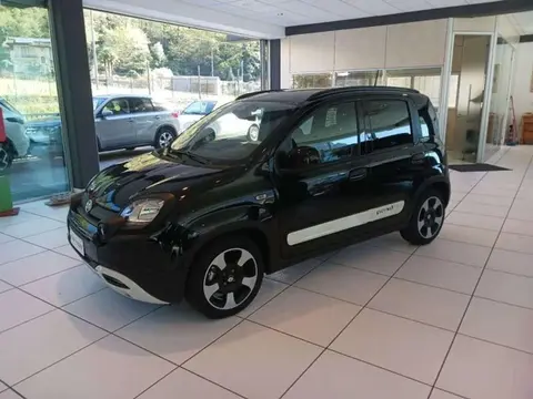 Used FIAT PANDA Hybrid 2024 Ad 