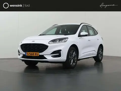 Used FORD KUGA Hybrid 2023 Ad 