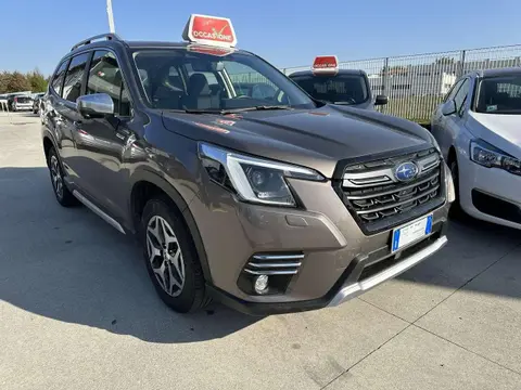 Annonce SUBARU FORESTER Hybride 2022 d'occasion 