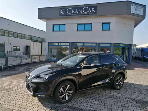 Used LEXUS NX Hybrid 2020 Ad 