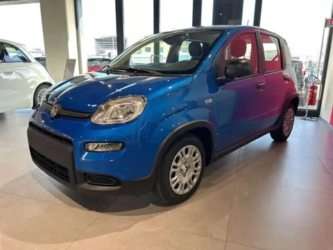 Annonce FIAT PANDA  2024 d'occasion 