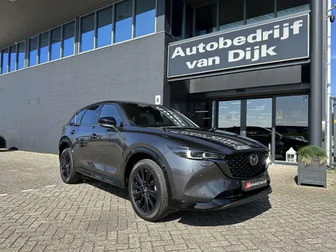 Used MAZDA CX-5 Petrol 2023 Ad 