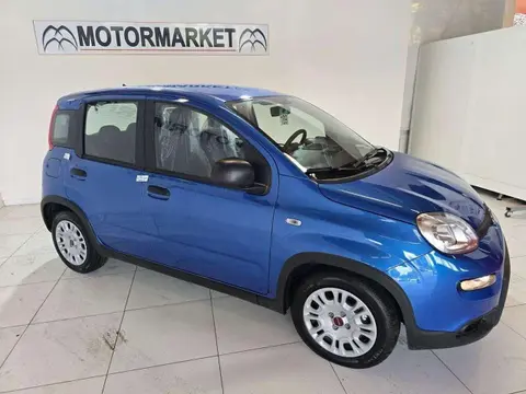 Used FIAT PANDA Hybrid 2024 Ad 