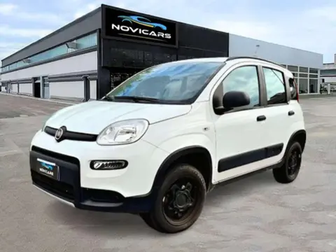 Annonce FIAT PANDA Essence 2020 d'occasion 