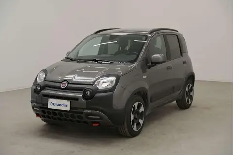 Annonce FIAT PANDA Hybride 2023 d'occasion 