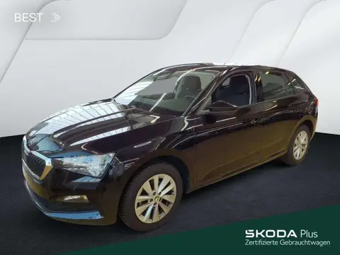 Annonce SKODA SCALA Essence 2024 d'occasion 