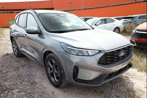 Used FORD KUGA Petrol 2024 Ad 