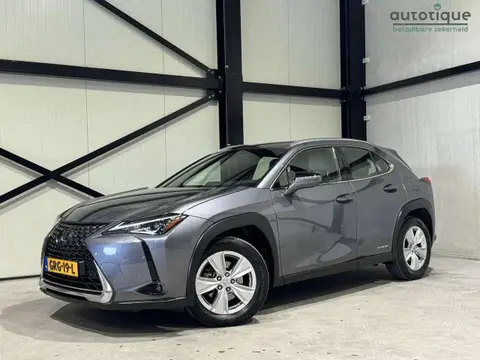 Used LEXUS UX Hybrid 2019 Ad 