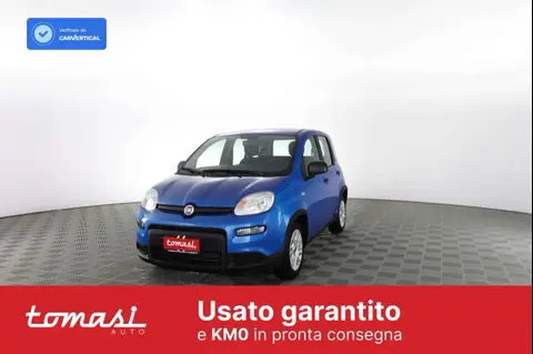 Annonce FIAT PANDA Hybride 2024 d'occasion 