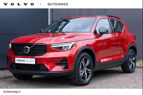 Used VOLVO XC40 Hybrid 2024 Ad 