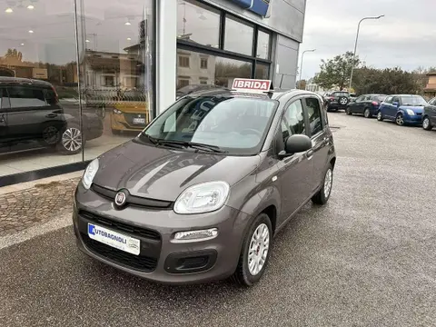 Annonce FIAT PANDA Hybride 2021 d'occasion 