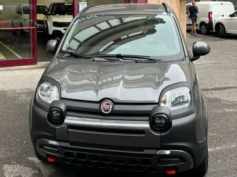 Annonce FIAT PANDA Hybride 2023 d'occasion 