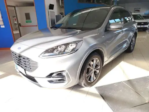 Annonce FORD KUGA Diesel 2022 d'occasion 