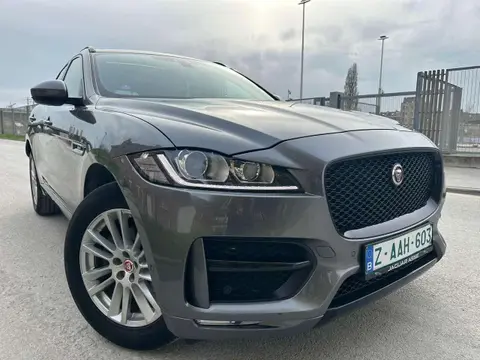 Used JAGUAR F-PACE Diesel 2016 Ad 