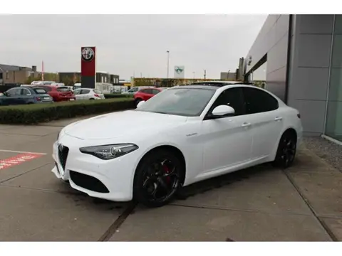 Used ALFA ROMEO GIULIA Petrol 2019 Ad 