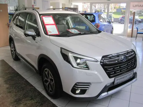 Annonce SUBARU FORESTER Hybride 2024 d'occasion 