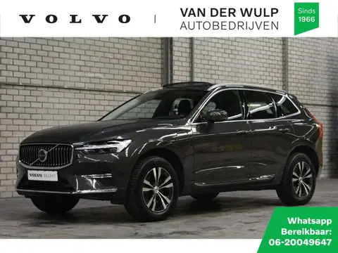 Used VOLVO XC60 Hybrid 2022 Ad 