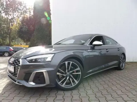 Annonce AUDI S5 Diesel 2020 d'occasion 