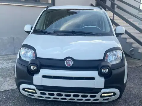 Used FIAT PANDA Hybrid 2024 Ad 