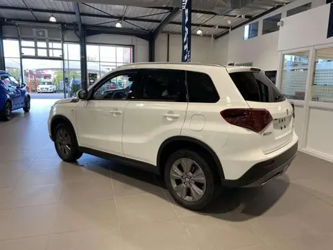 Used SUZUKI VITARA Hybrid 2024 Ad 