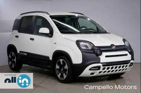 Used FIAT PANDA Hybrid 2024 Ad 