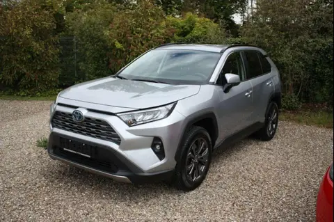 Annonce TOYOTA RAV4 Hybride 2023 d'occasion Allemagne