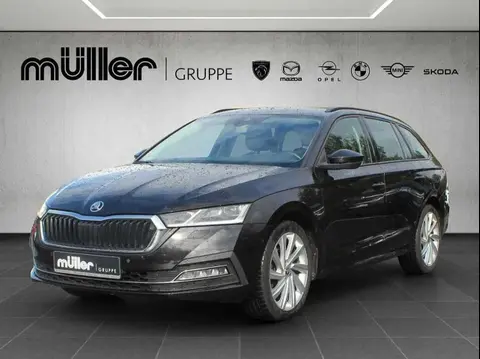 Used SKODA OCTAVIA Diesel 2021 Ad 