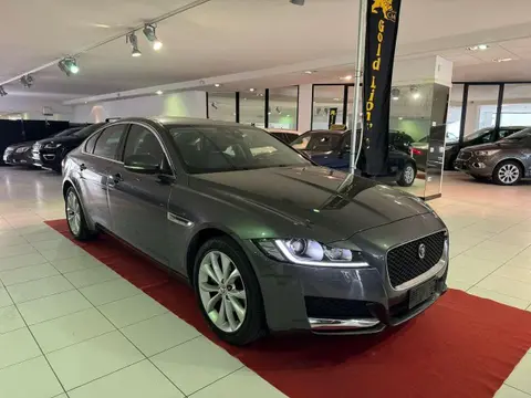 Annonce JAGUAR XF Diesel 2019 d'occasion 